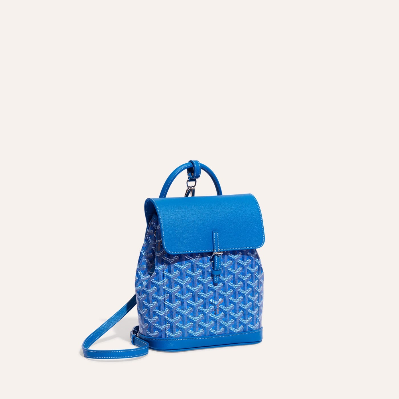 Goyard Alpin Mini Backpack Sky Blue - Image 1